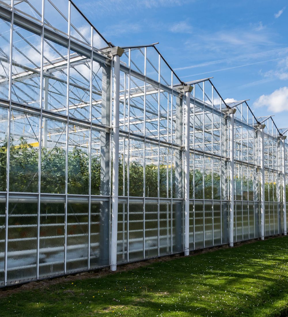 control-greenhouses